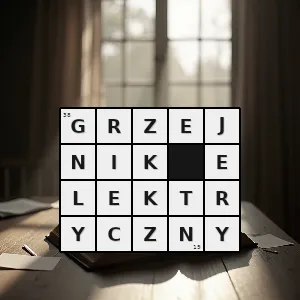Hasło krzyżówkowe urządzenie grzewcze działające na prąd elektryczny - grzejnik elektryczny – rozwiązanie, synonimy, podpowiedzi i definicje krzyżówkowe